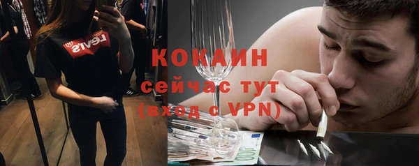 соль ск Гусев