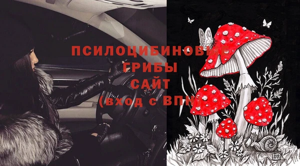 марки nbome Гусь-Хрустальный